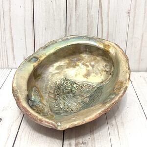 Vintage LARGE 2 lb Abalone Shell 8" x 7" Iridescent Mother of Pearl Boho Decor
